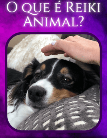 O que é Reiki Animal?